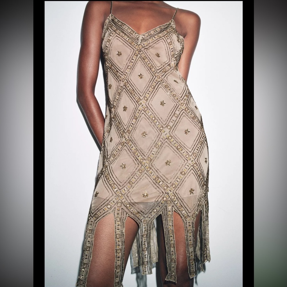 Zara limited edition EMBROIDERED TULLE Mini DRESS - Picture 5 of 15